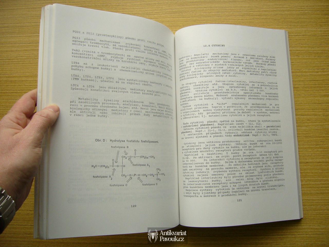 Jan Šalplachta - Patobiochemie + Obrazová příloha | 1995
