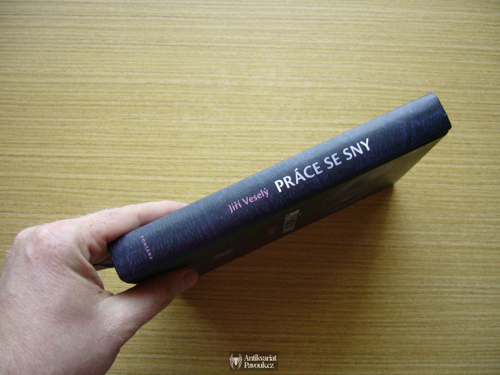 Jiří Veselý - Práce se sny | 2011