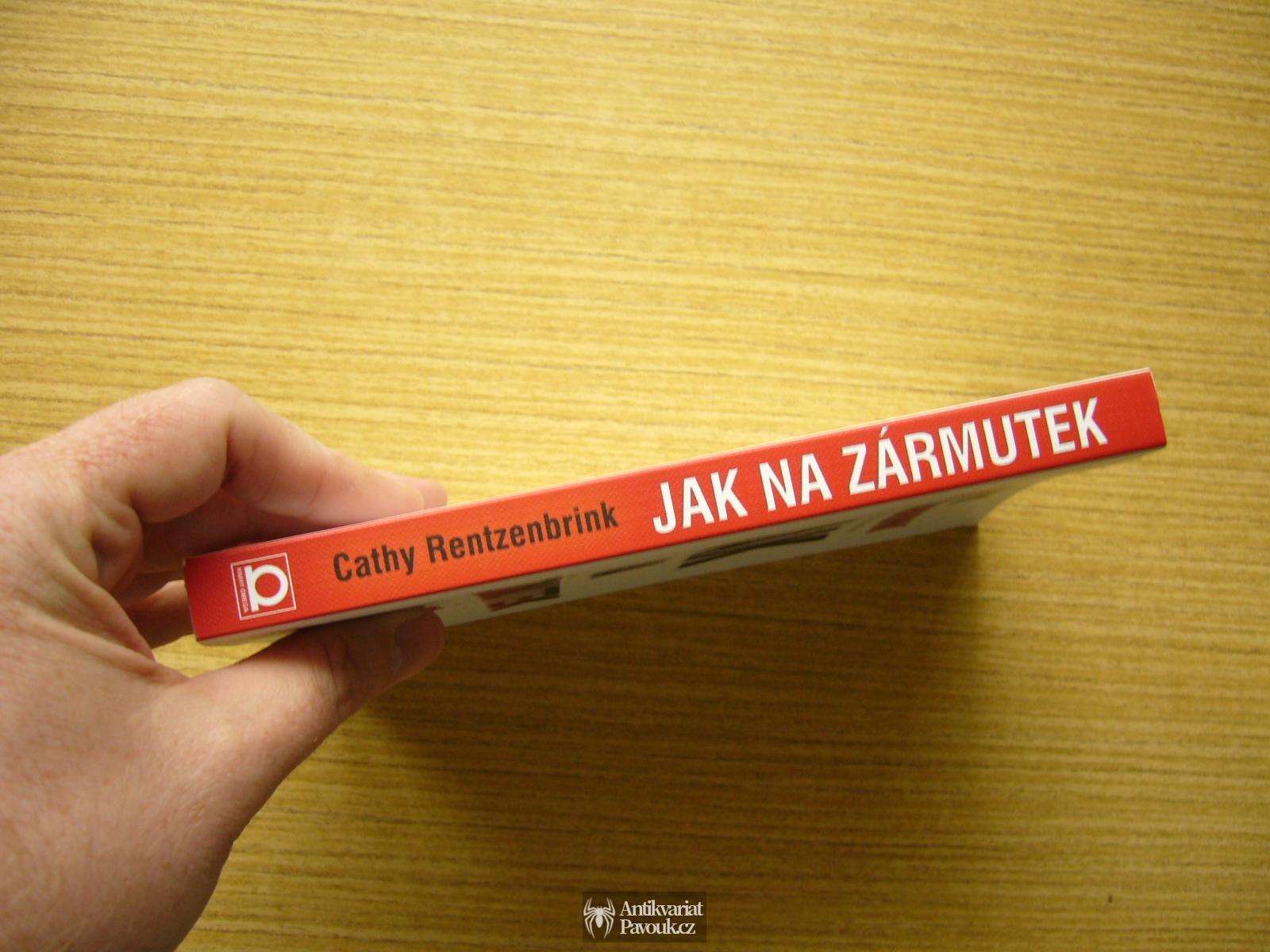 Cathy Rentzenbrink - Jak na zármutek | 2018