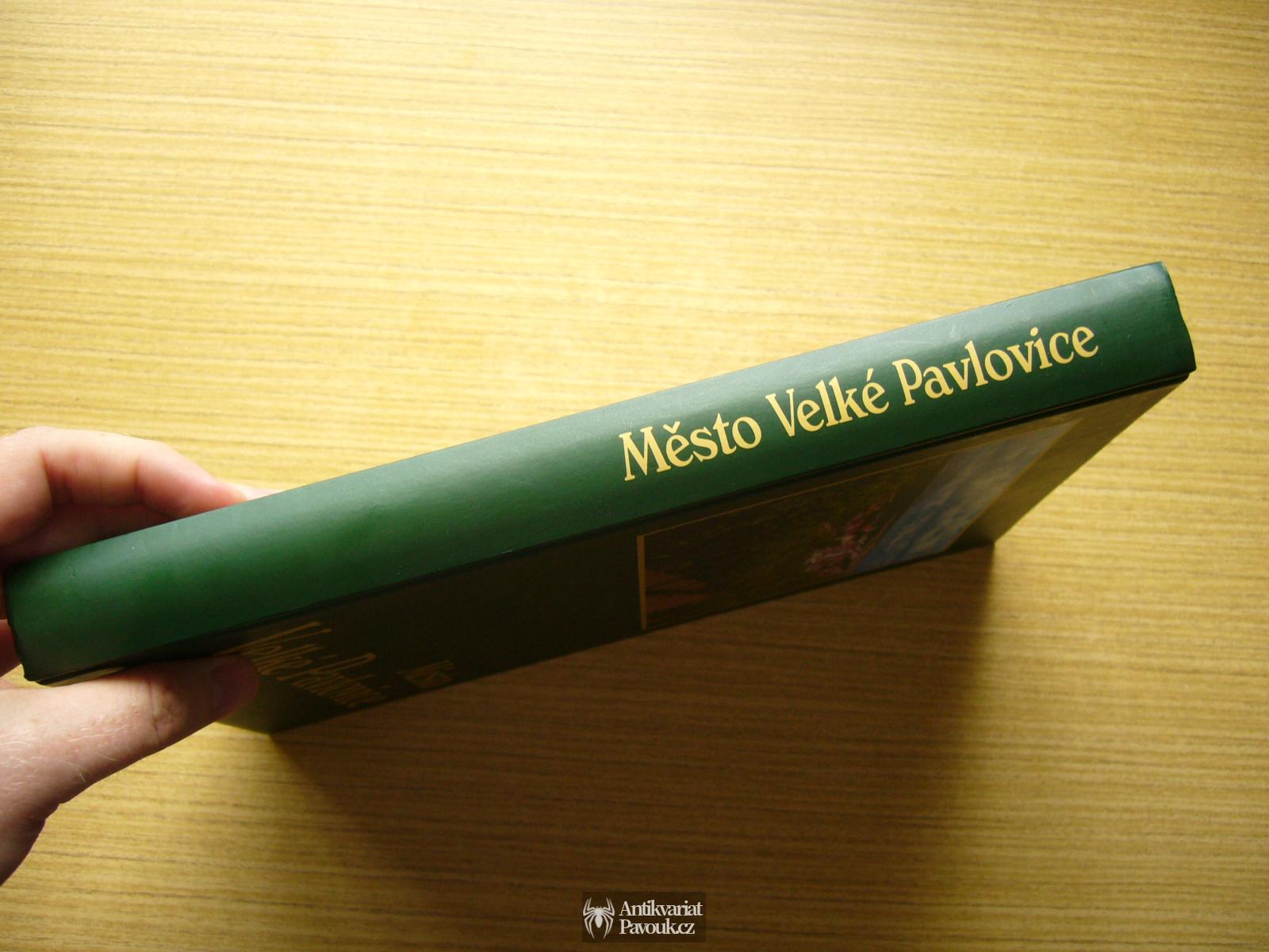 Město Velké Pavlovice | 2002