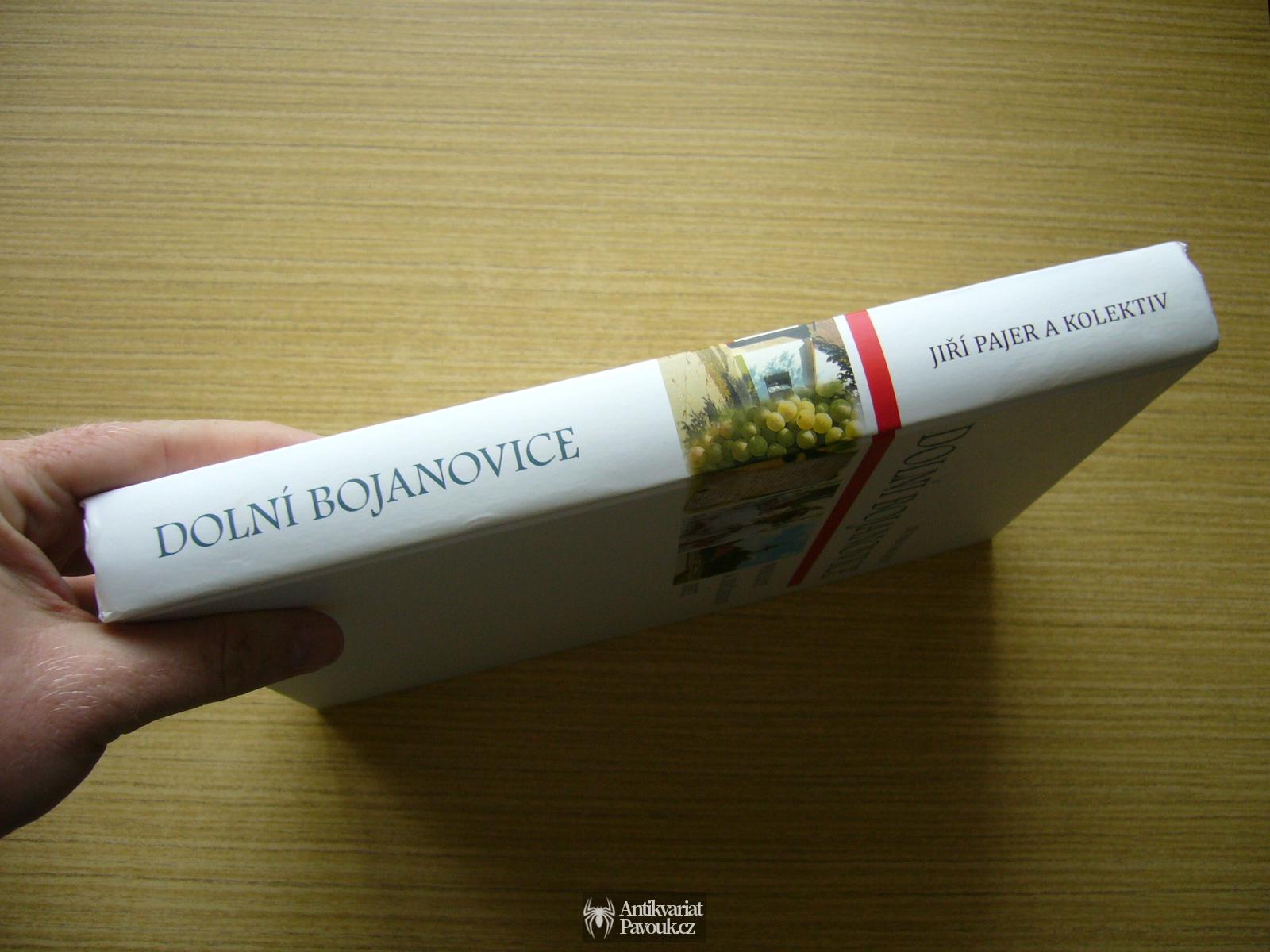 Jiří Pajer a kol. - Dolní Bojanovice: Minulost a současnost obce | 2016