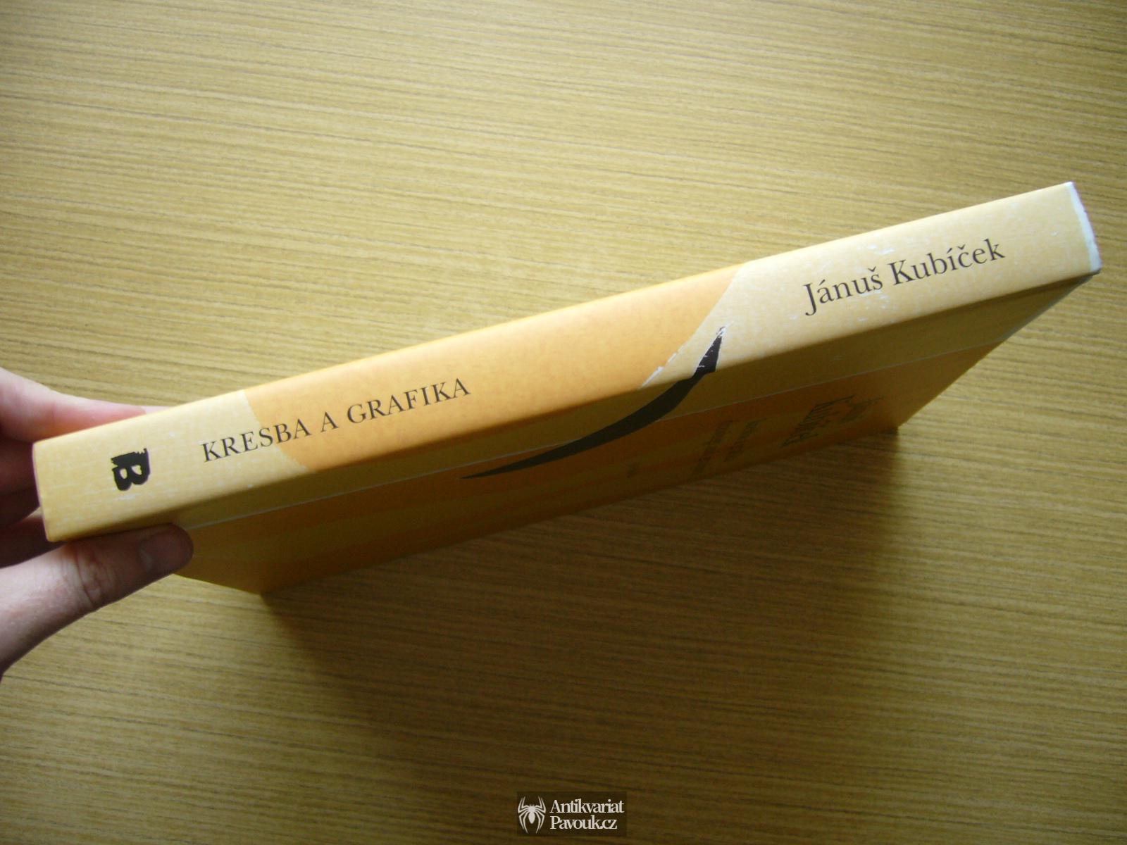Jiří Hlušička - Jánuš Kubíček: Kresba a grafika | 2004