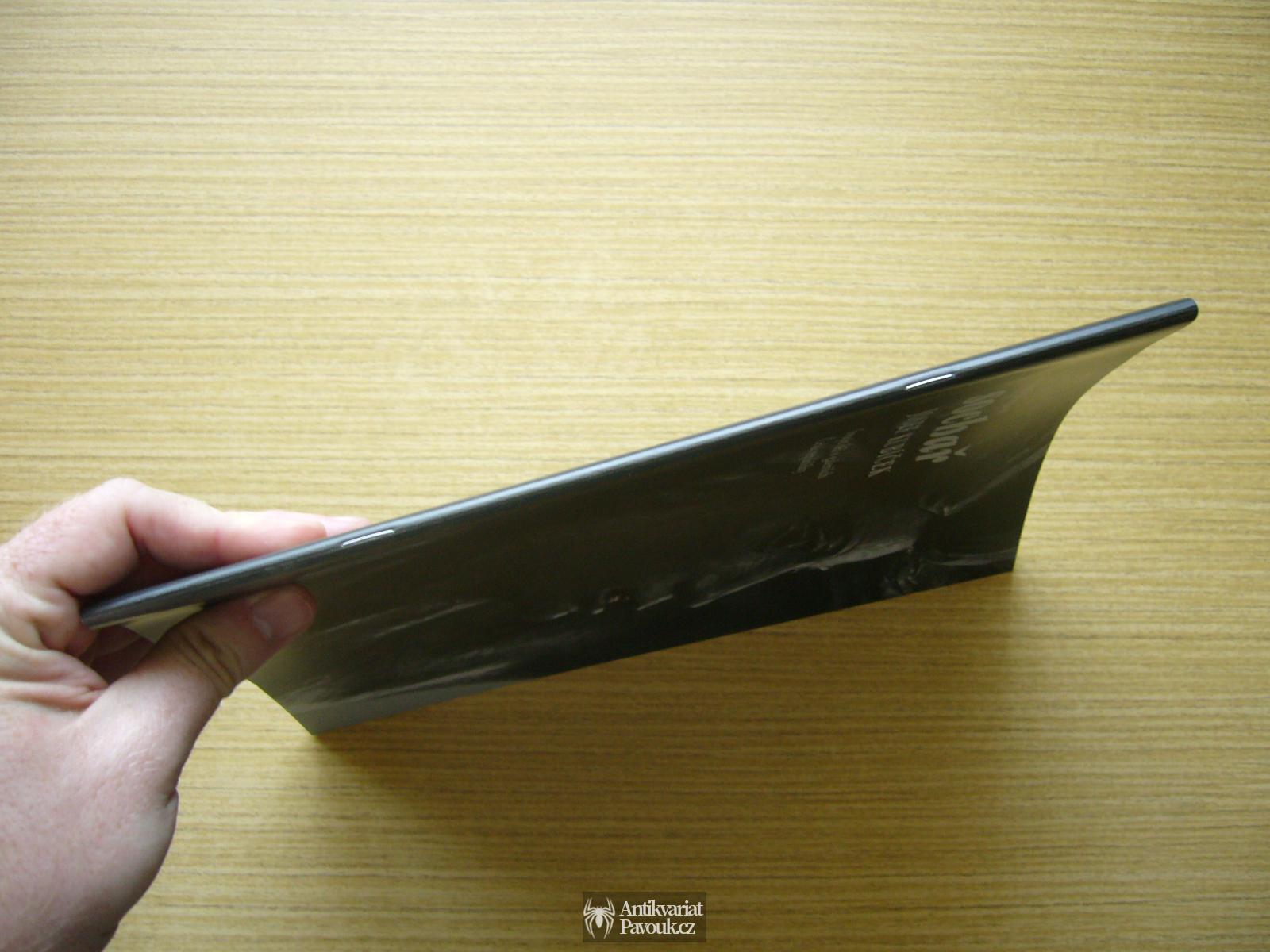 Renata Bernardi - Sochař Josef Kubíček: Soupis děl v galeriích České republiky | 2008