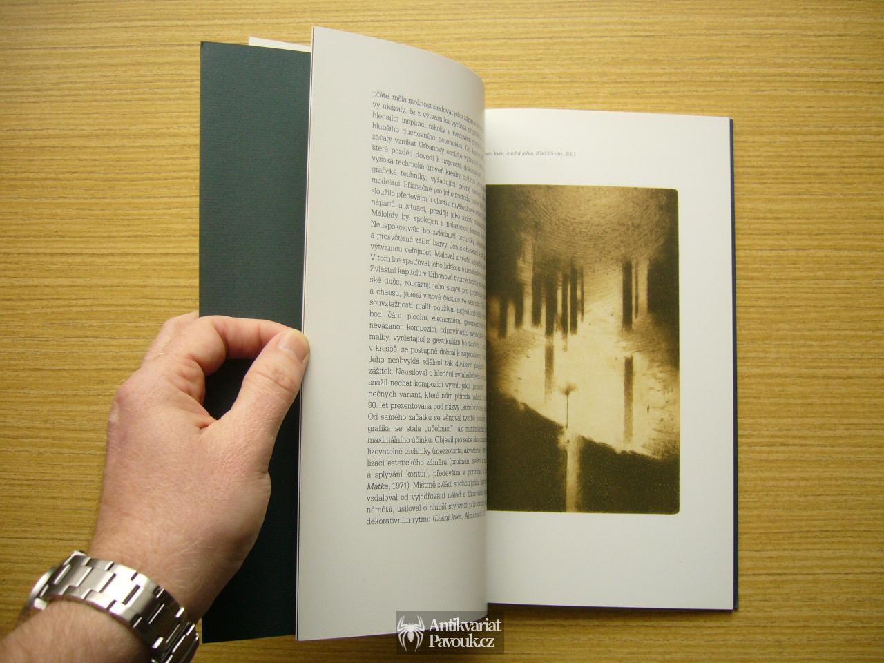 Malířův zápas s andělem: Nad tvorbou malíře a grafika Cyrila Urbana 1960 - 2000 | 2005