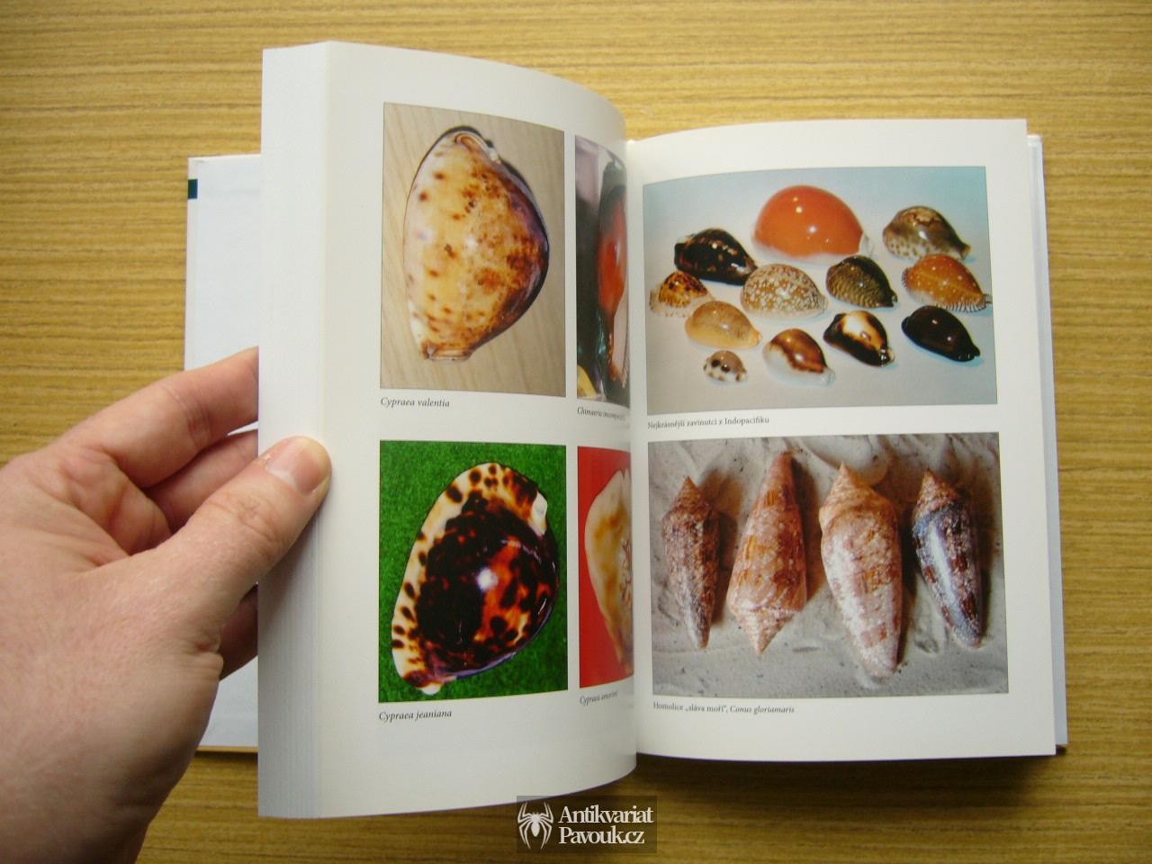 Jaroslav Picka - Chvála sběratelství | 2008