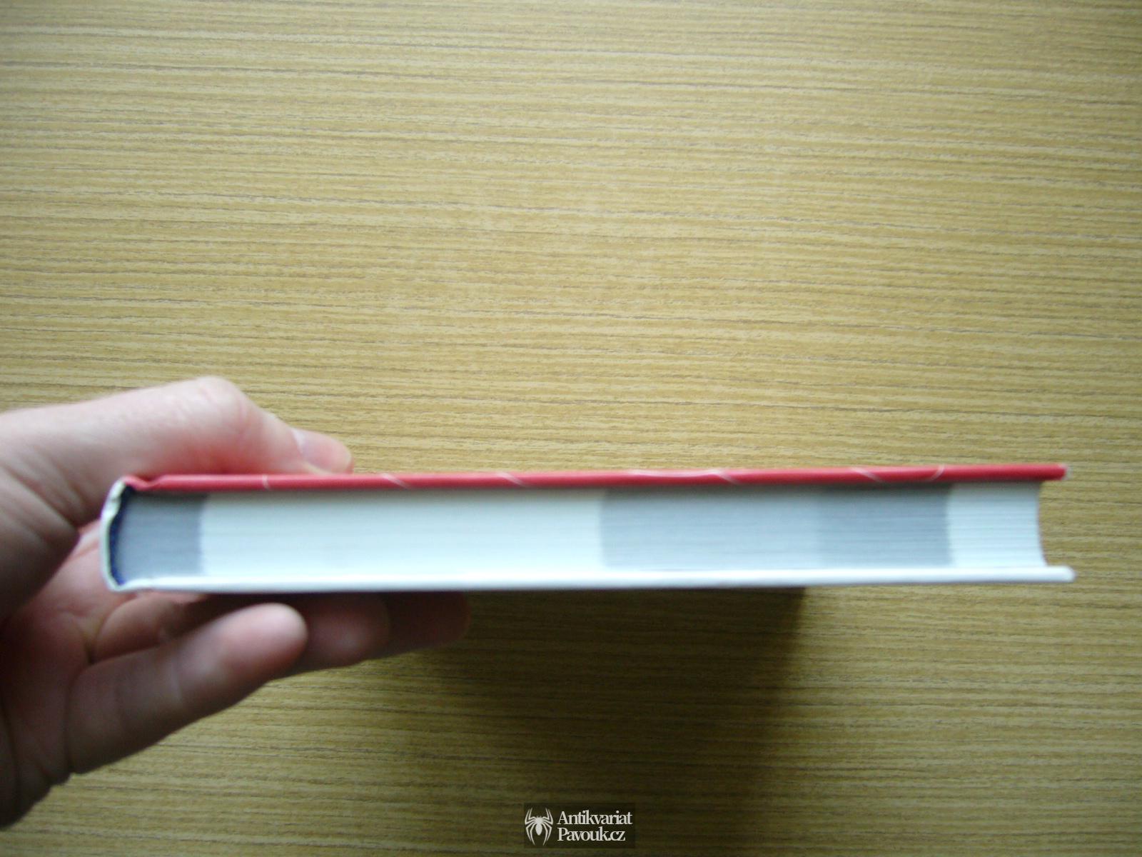 Basl, Blažíček - Podnikové informační systémy | 2008