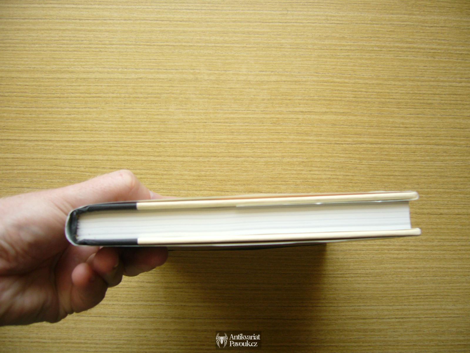 John Harwood - The Interface | 2011, anglicky