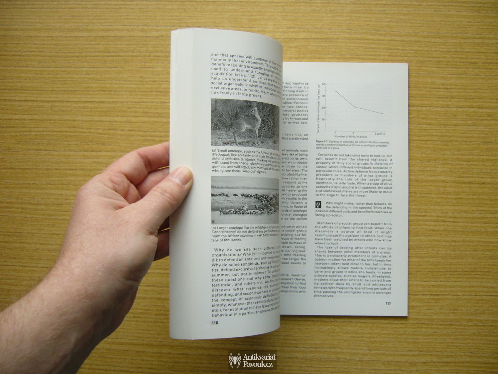 Roger Avery, Innes Cuthill, Ruth Miller, Gary Rowland - The Five Kingdoms & Behaviour | 1994, anglicky