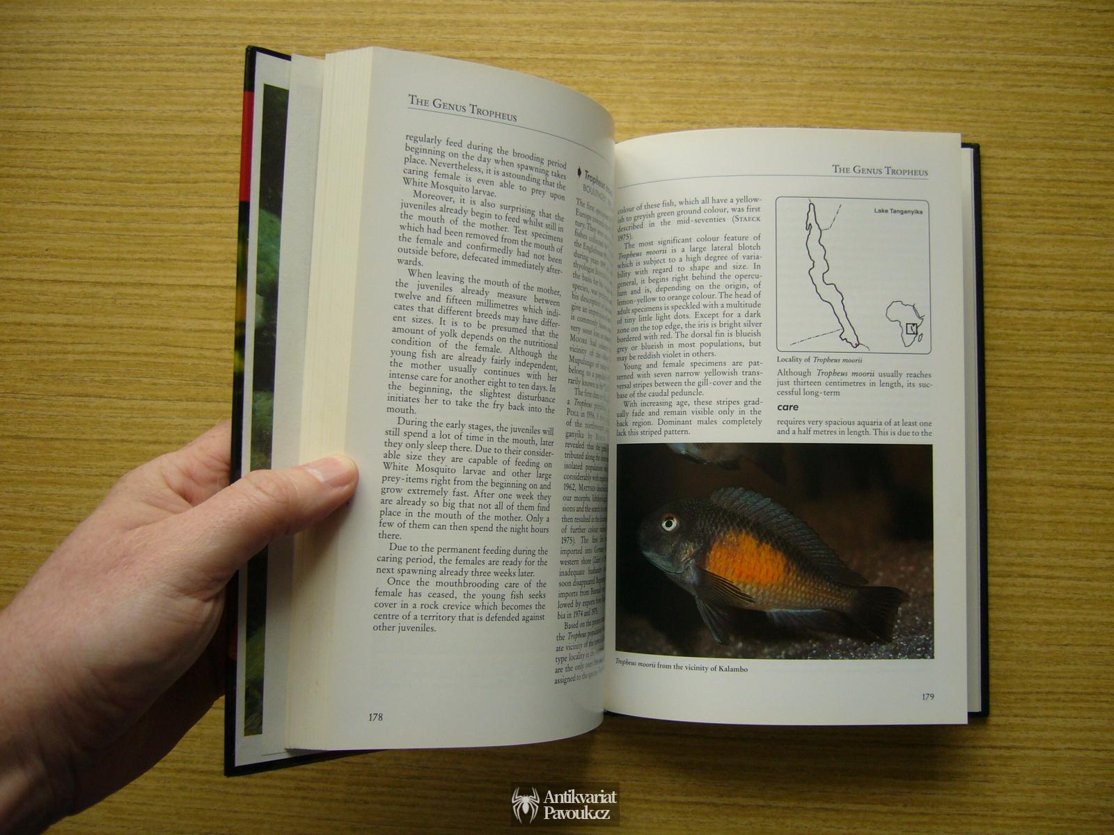 Wolfgang Staeck, Horst Linke - African Cichlids II | 1996, anglicky