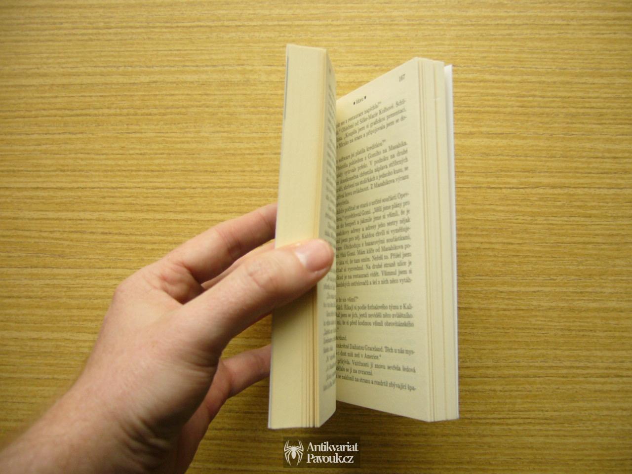 William Gibson - Idoru | 2010, nová