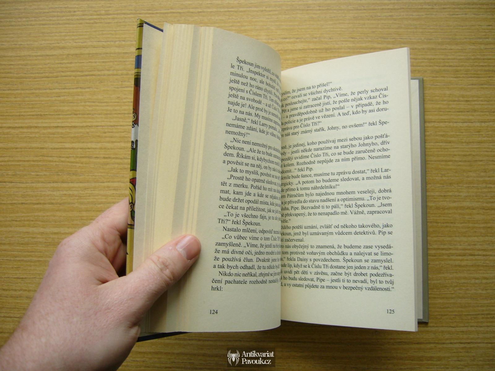 Enid Blytonová - Tajemství ztraceného náhrdelníku | 2008, NOVÁ