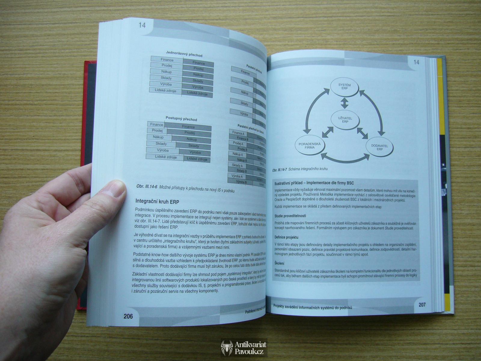Basl, Blažíček - Podnikové informační systémy | 2008