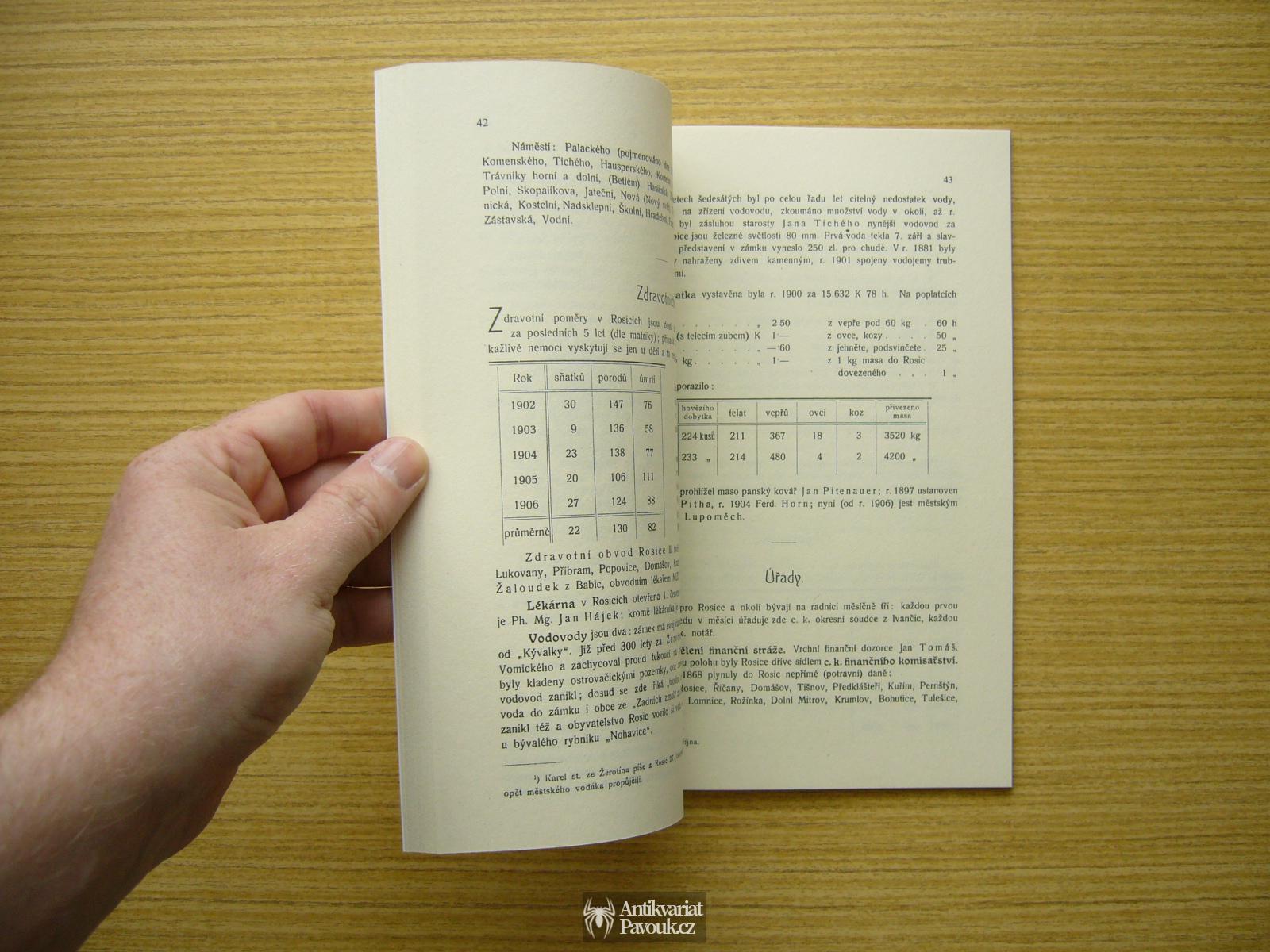Josef Janele - Město Rosice. Nástin dějepisný a statistický | 2007