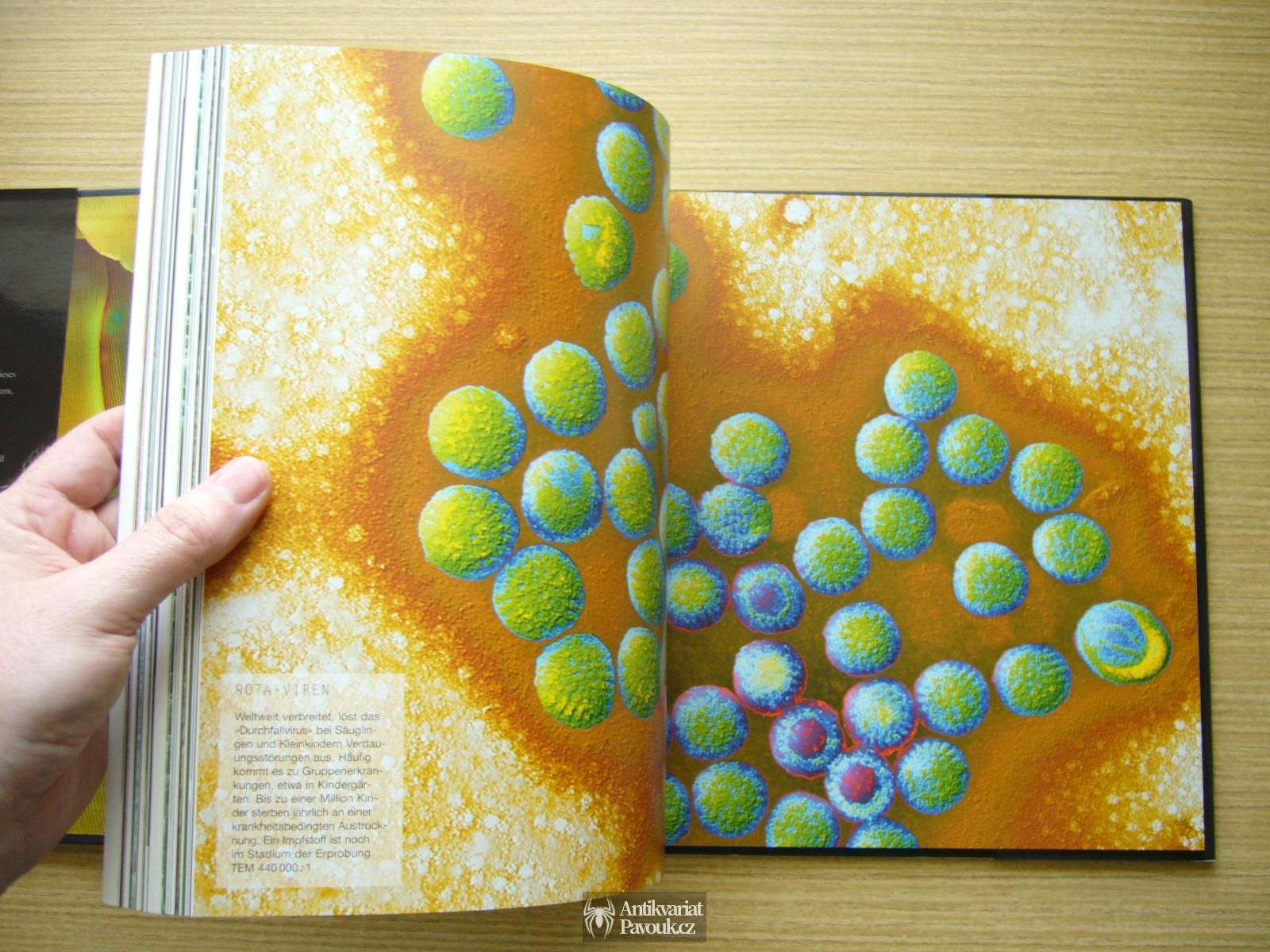 Oliver Meckes, Nicole Ottawa - Die fantastische Welt des Unsichtbaren | 2003, německy