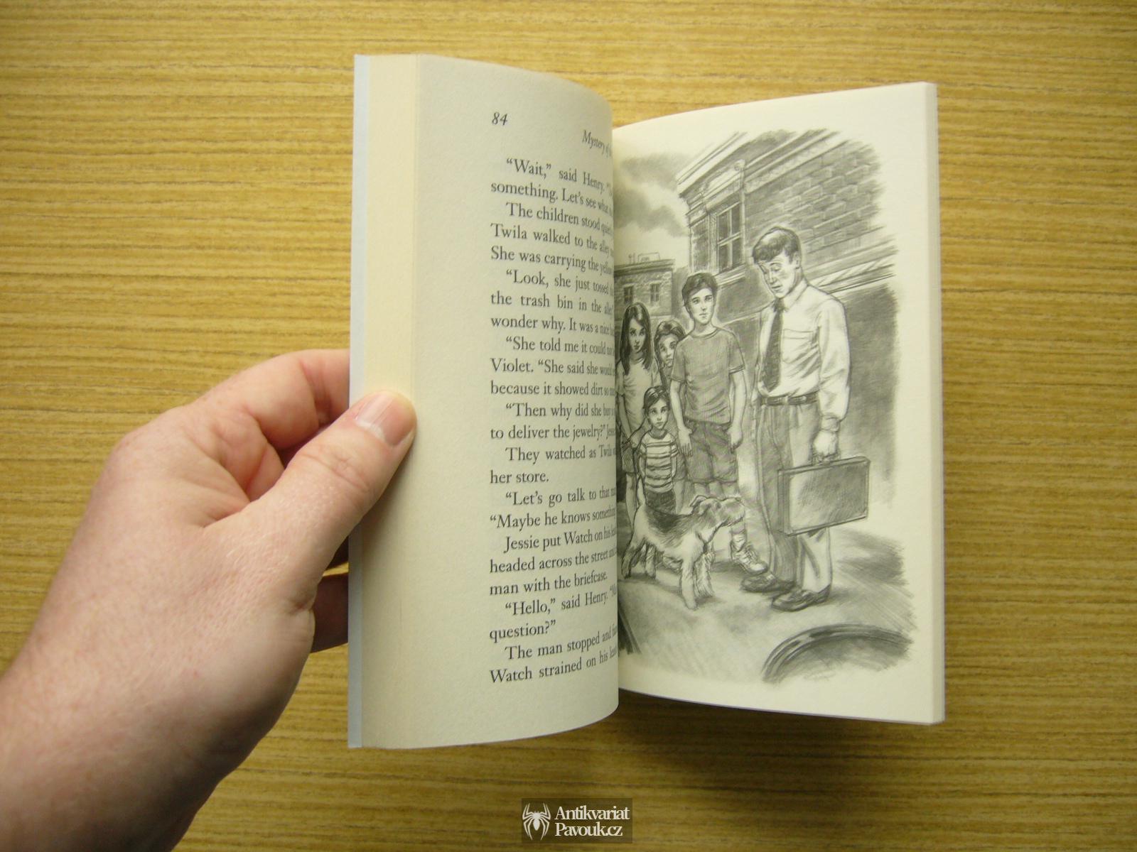 G. Ch. Warner - The Boxcar Children: Mystery of the Fallen Treasure | 2013, anglicky