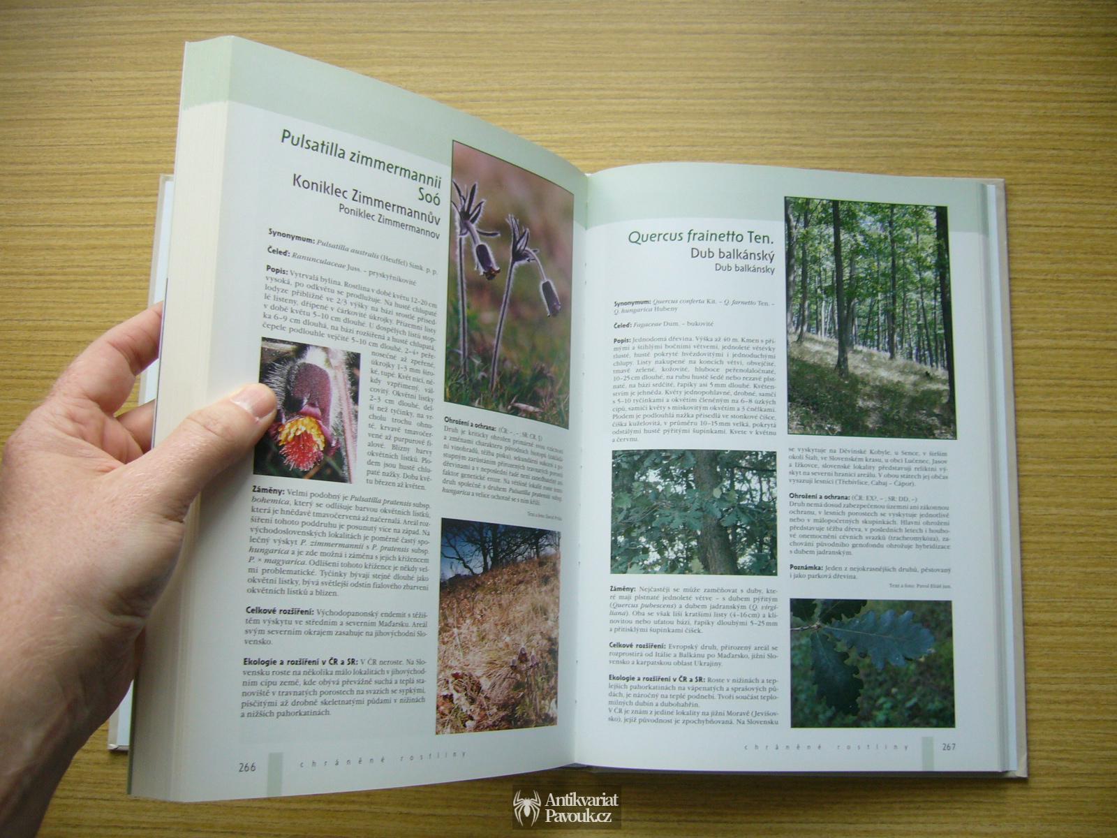 Chráněné rostliny České a Slovenské republiky | 2005