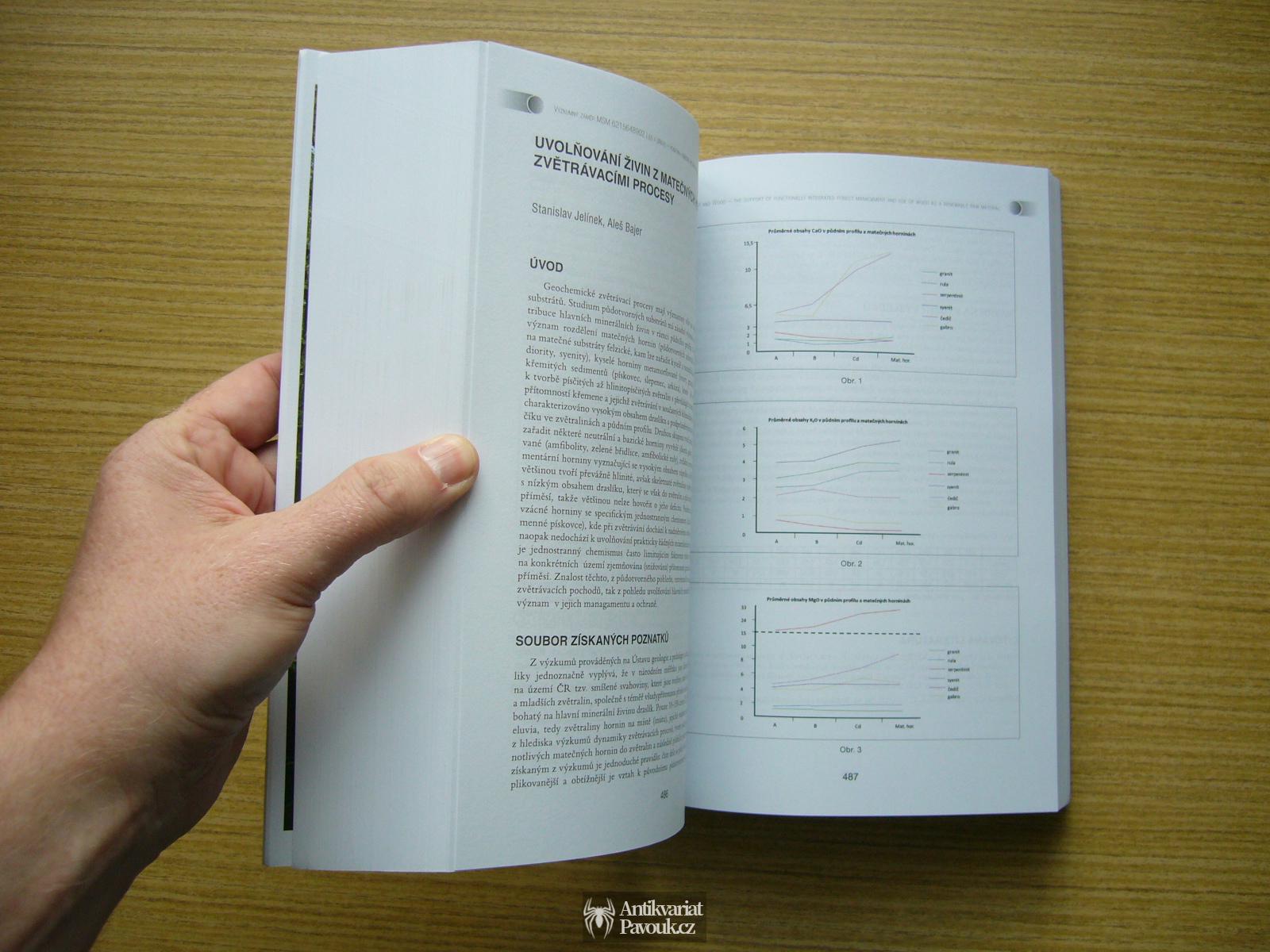 Jiří Kulhavý, Ladislav Menšík (eds.) - Les a dřevo | 2012