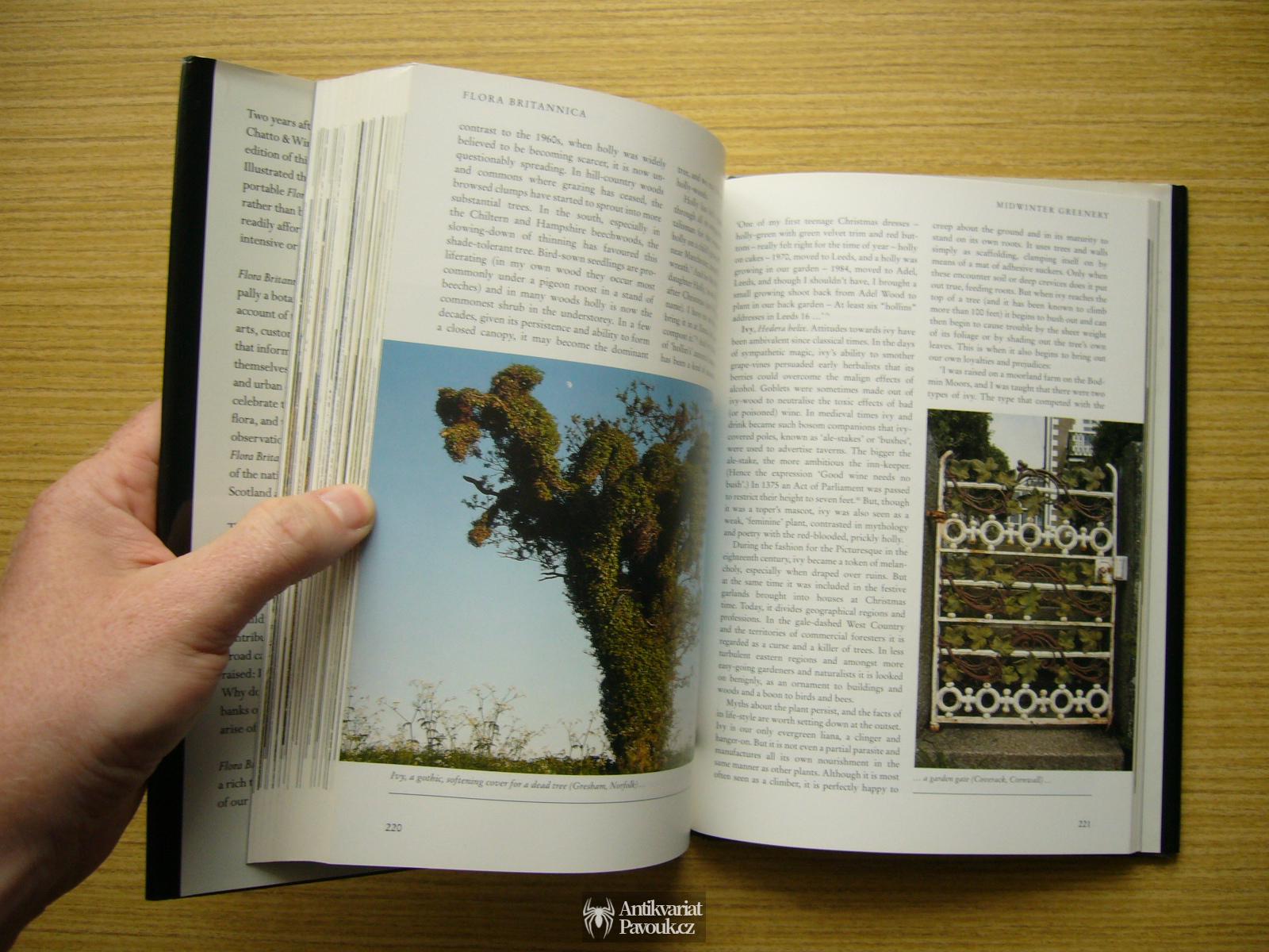 Richard Mabey - Flora Britannica | 1998, anglicky