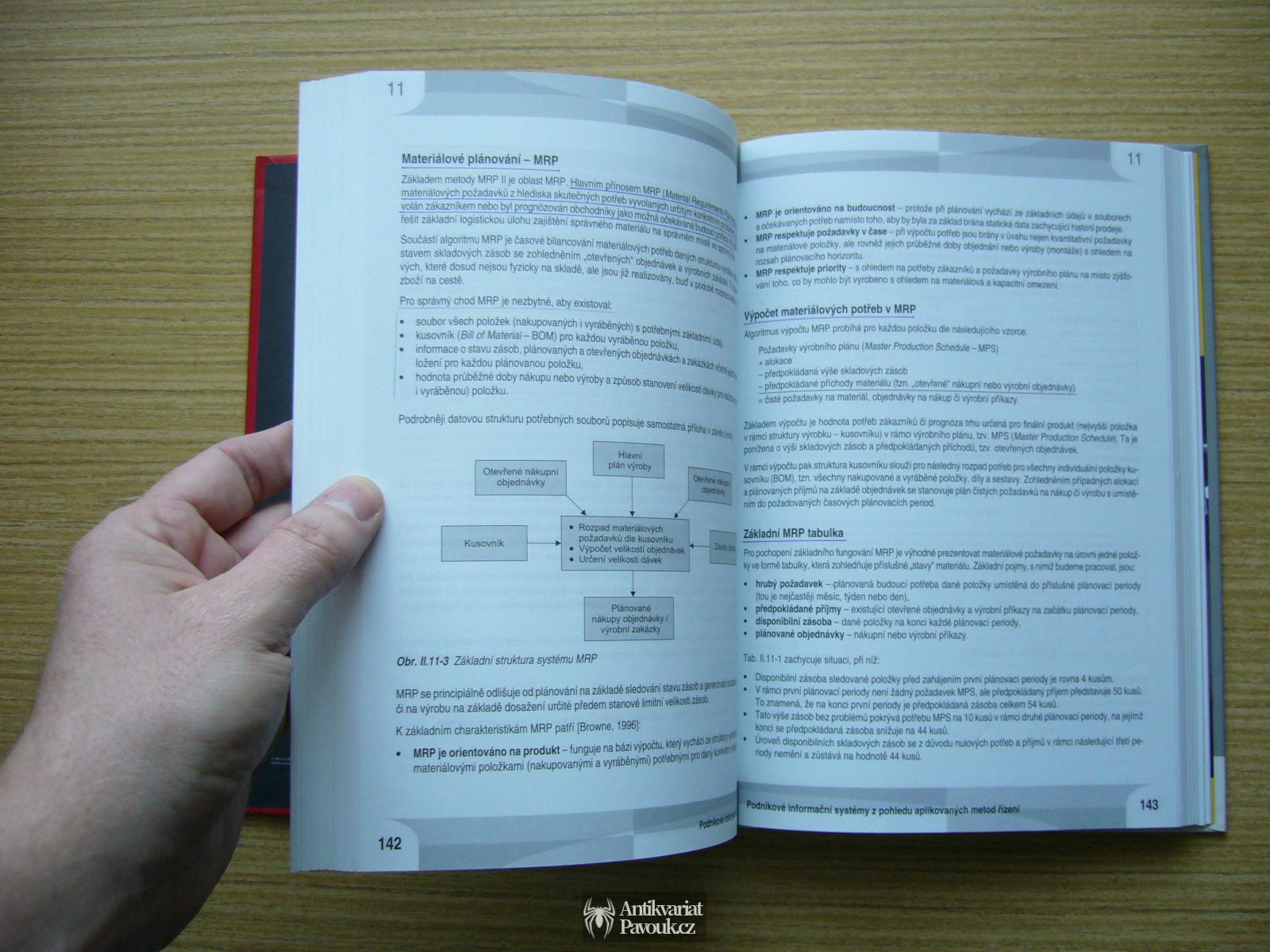 Basl, Blažíček - Podnikové informační systémy | 2008