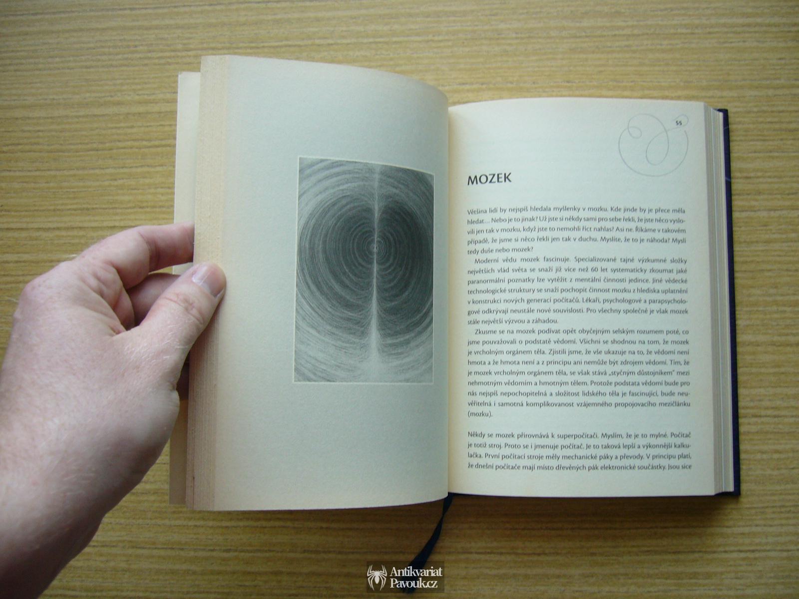 Jiří Veselý - Práce se sny | 2011