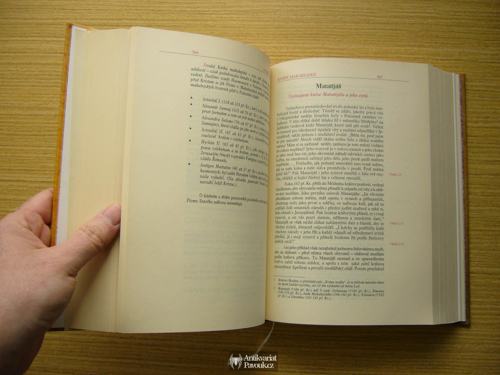 Jindřich Cigánek - Velké příběhy Bible | 2011