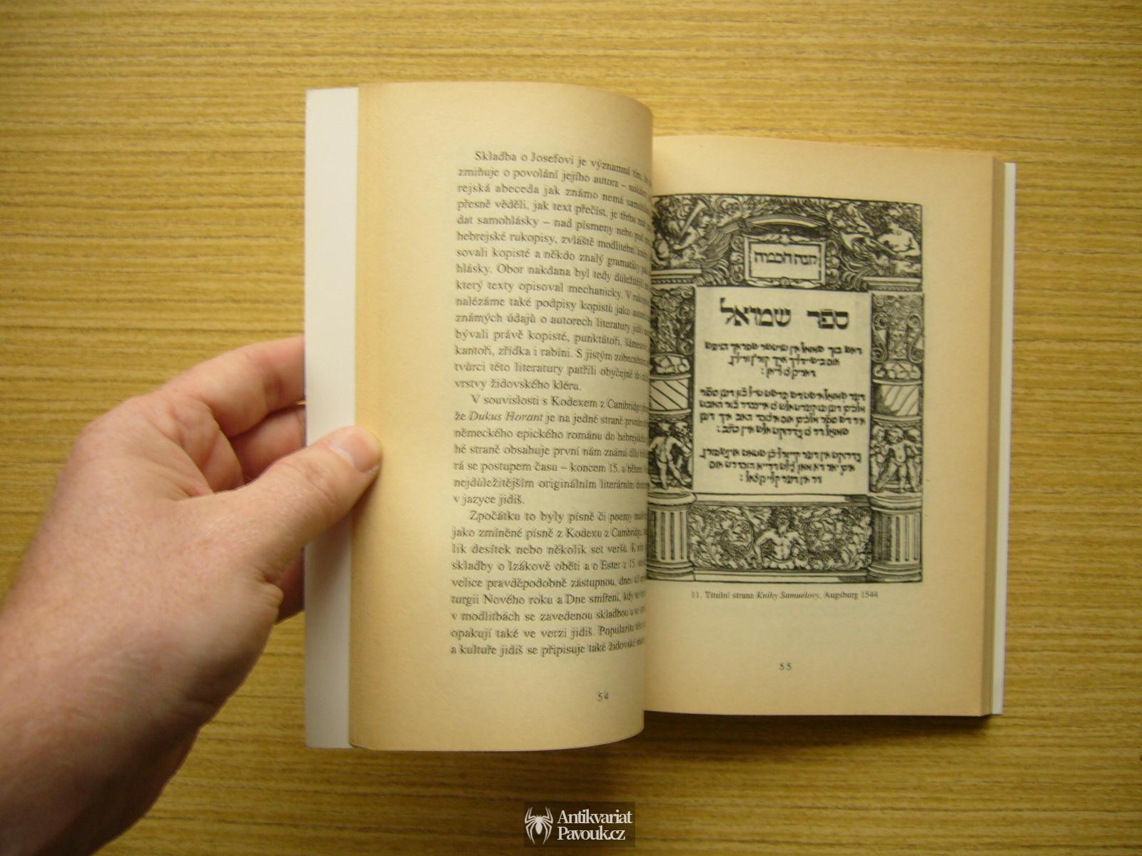 Chone Shmeruk - Dějiny literatury jidiš | 1996