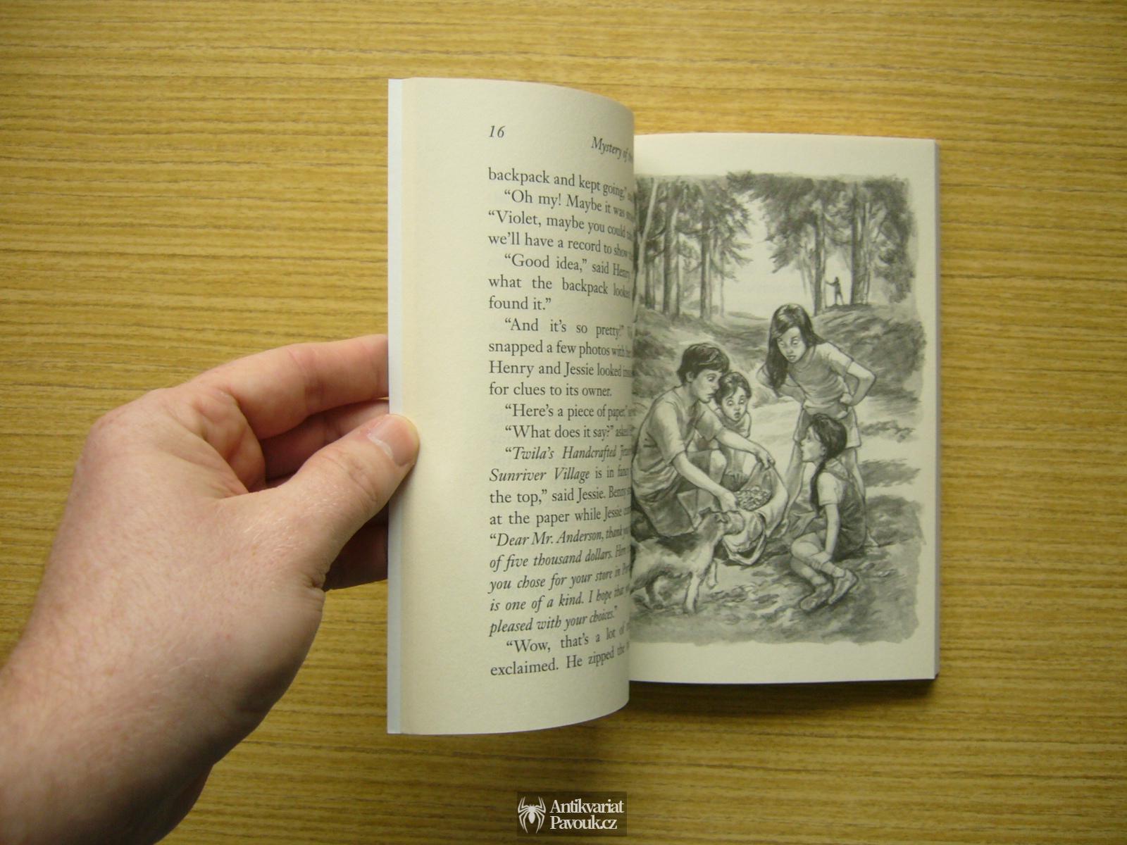 G. Ch. Warner - The Boxcar Children: Mystery of the Fallen Treasure | 2013, anglicky