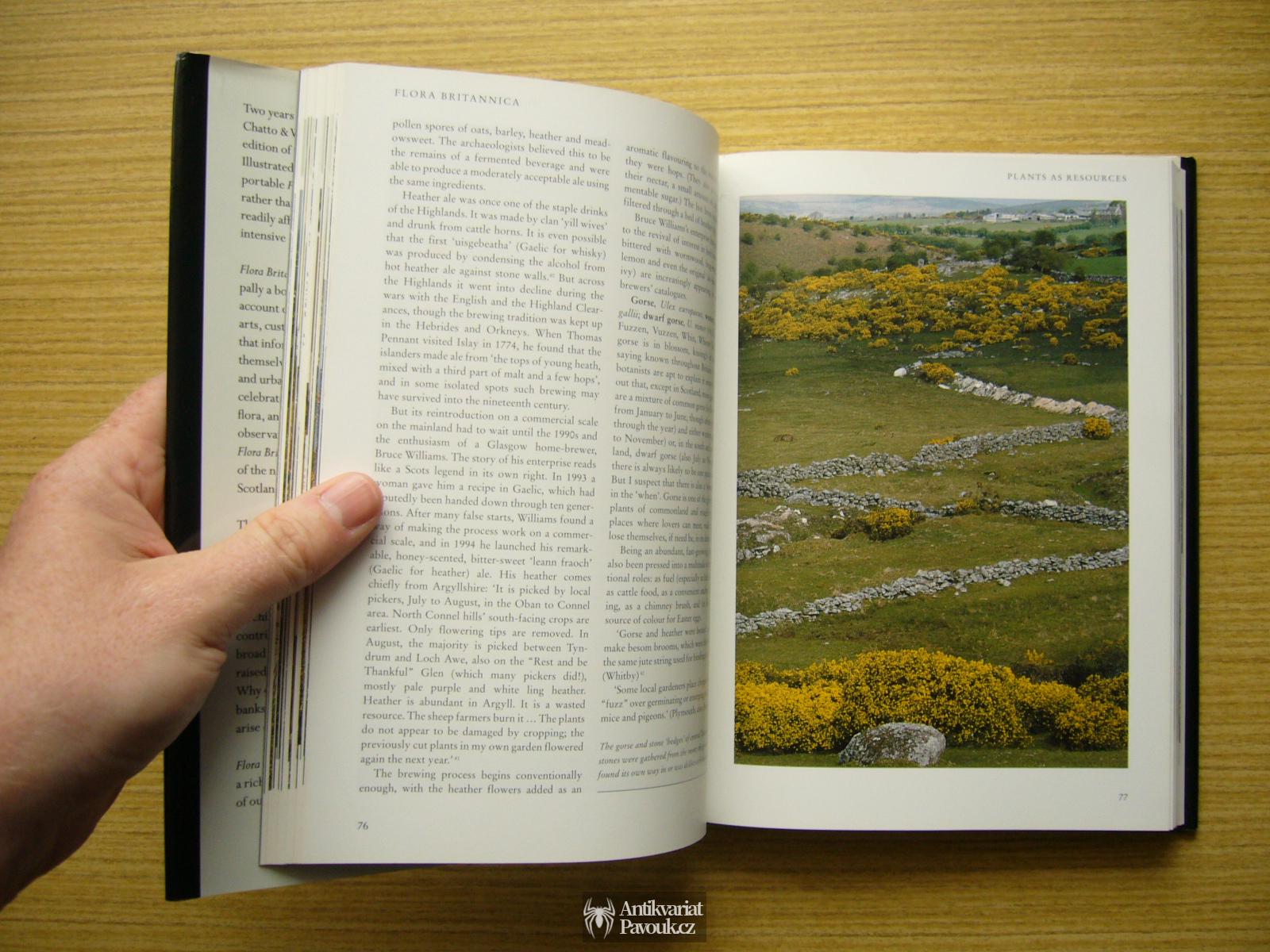 Richard Mabey - Flora Britannica | 1998, anglicky