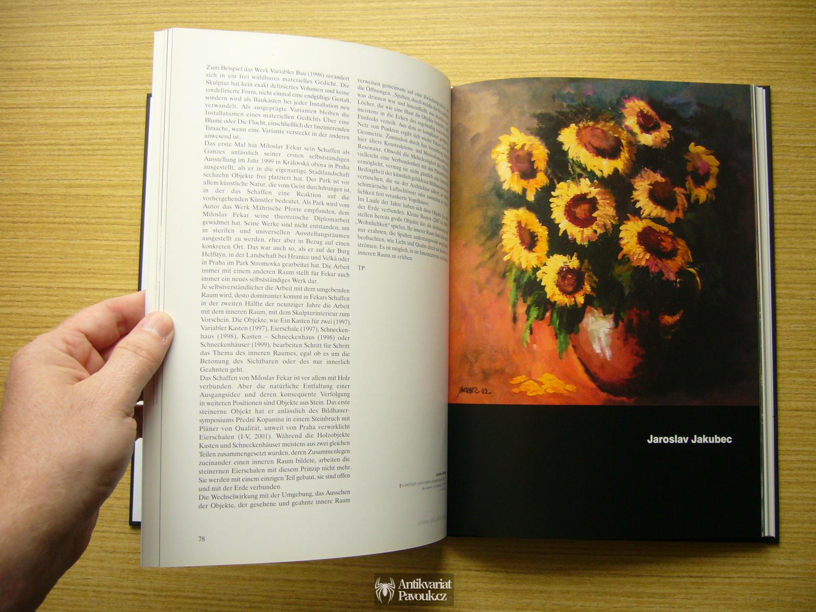 Výtvarní umělci města Hranic | 2009