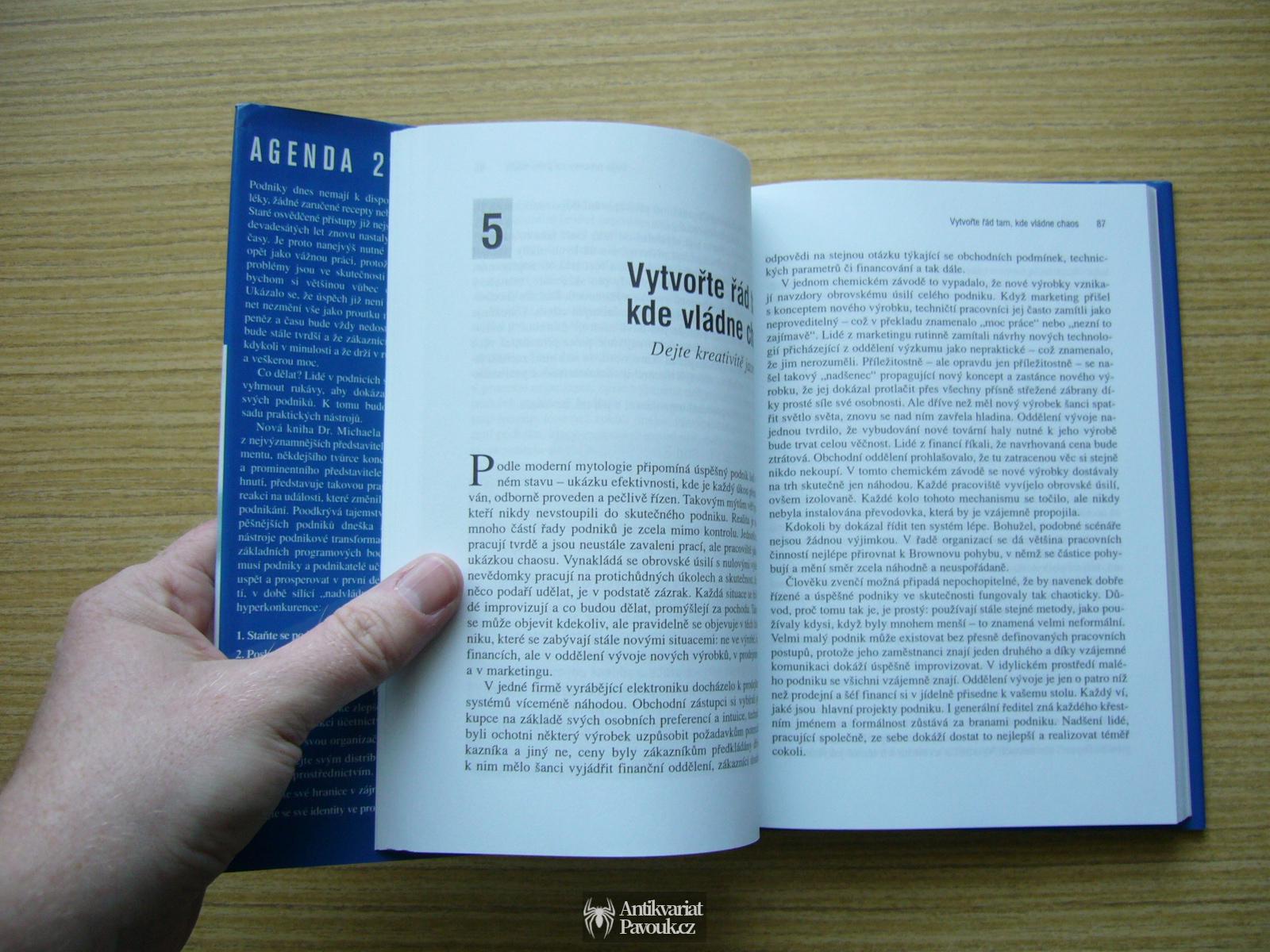 Michael Hammer - Agenda 21. Co musí každý podnik udělat pro úspěch v 21. století | 2002