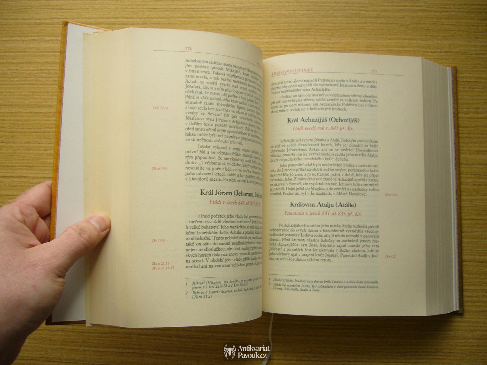Jindřich Cigánek - Velké příběhy Bible | 2011