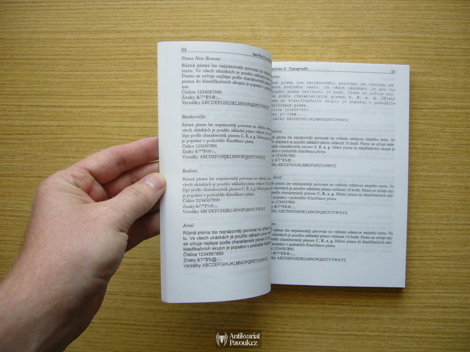 Vladislav Černý - AmiPro 3.1 a počítačová typografie | 1995