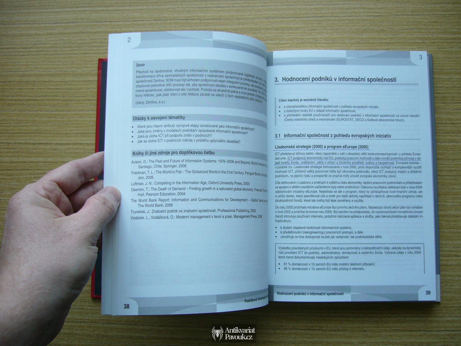 Basl, Blažíček - Podnikové informační systémy | 2008