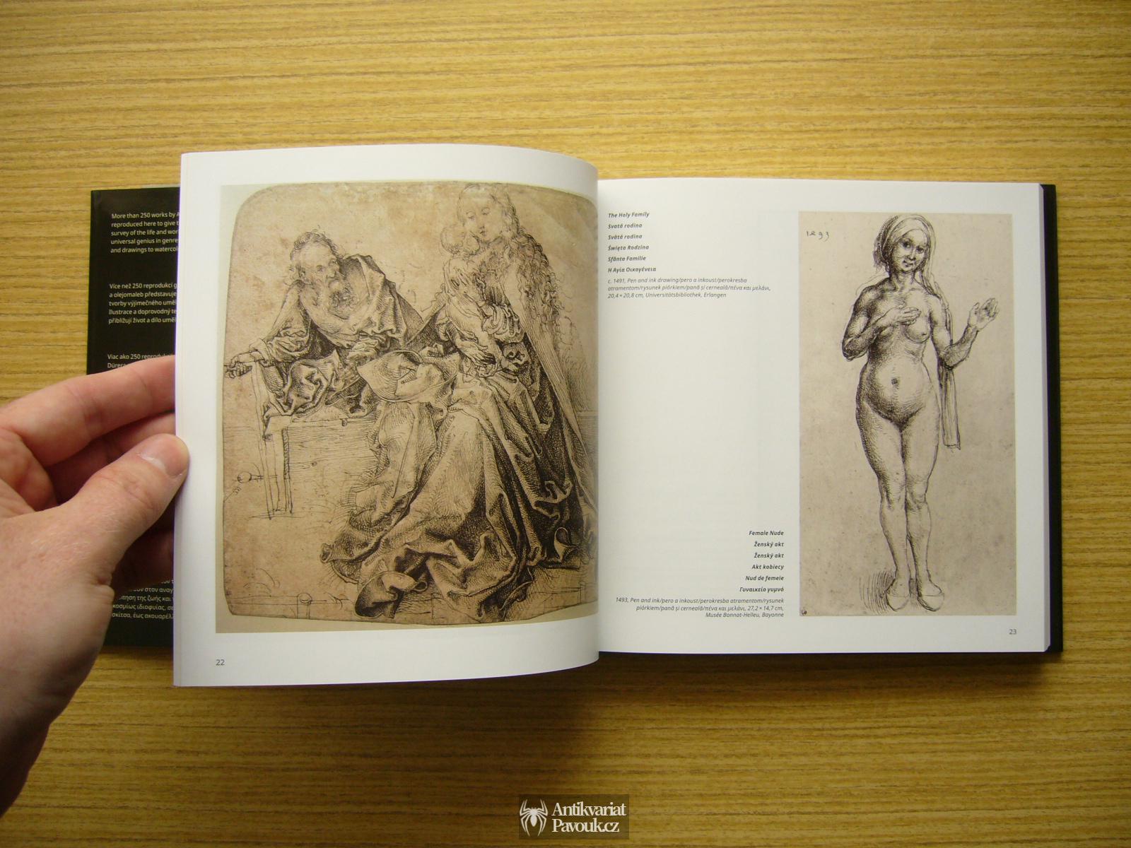 Ruth Dangelmaier - Dürer | 2017