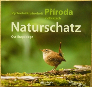 Příroda v obrazech 4: Východní Krušnohoří | 2015
